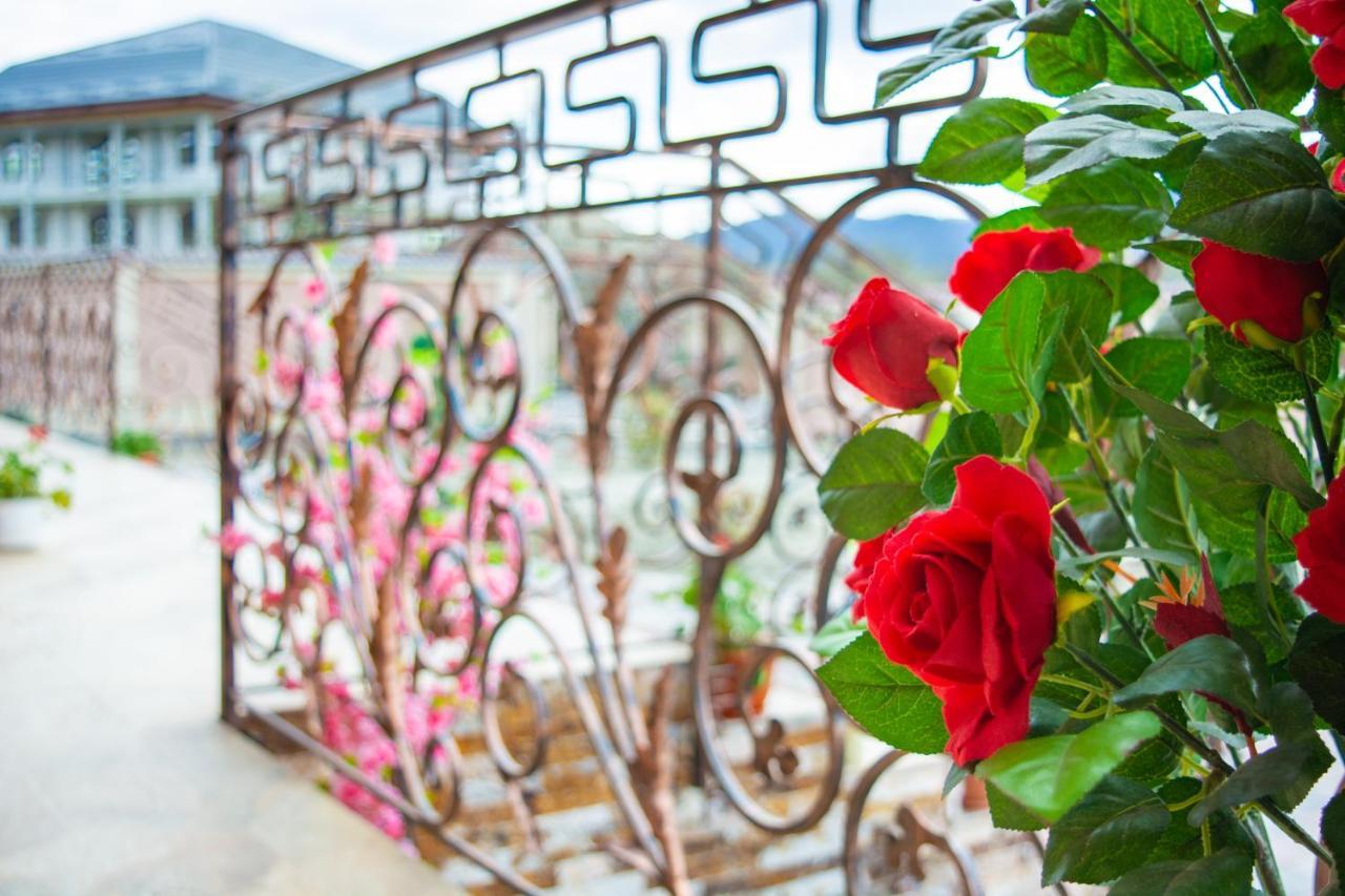 Călimăneşti Casa Erk B&B 외부 사진
