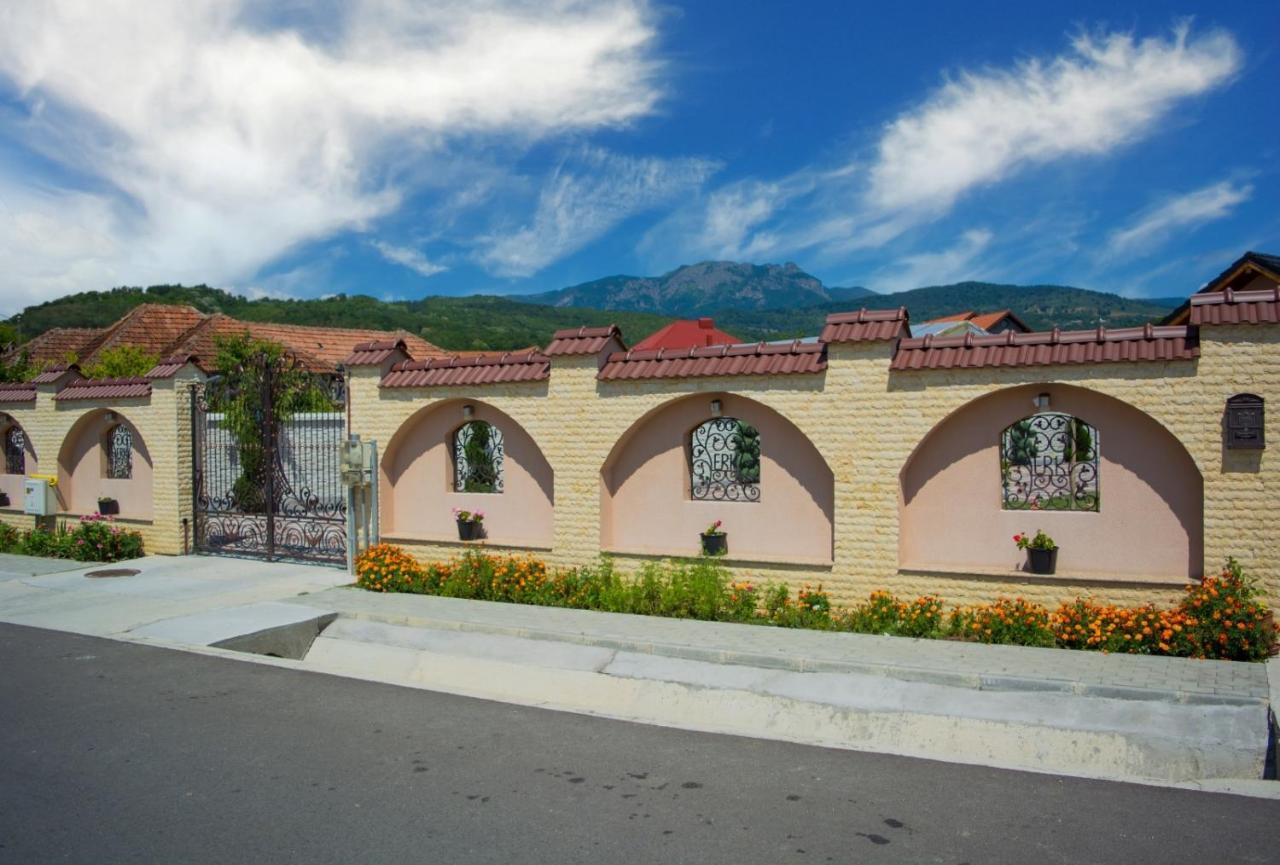 Călimăneşti Casa Erk B&B 외부 사진